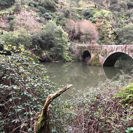 Casinha Revira Volta *