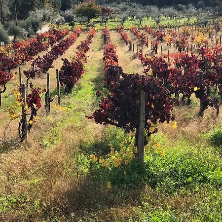 Casinha Revira Volta Semesterbostad