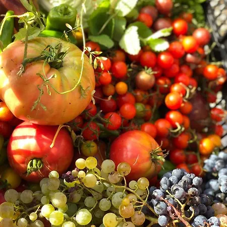 Casinha Revira Volta * Nesperal