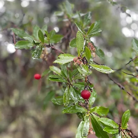 Casinha Revira Volta Semesterbostad