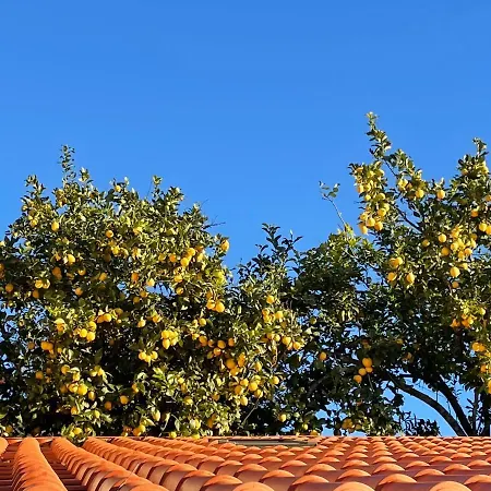 Casinha Revira Volta * Nesperal