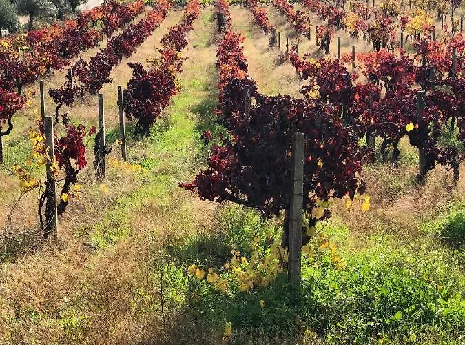 Casinha Revira Volta Casa de Férias