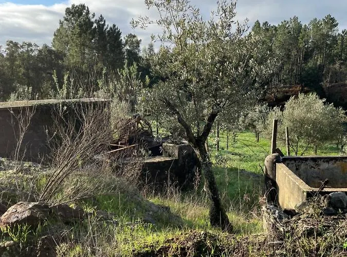 Casinha Revira Volta