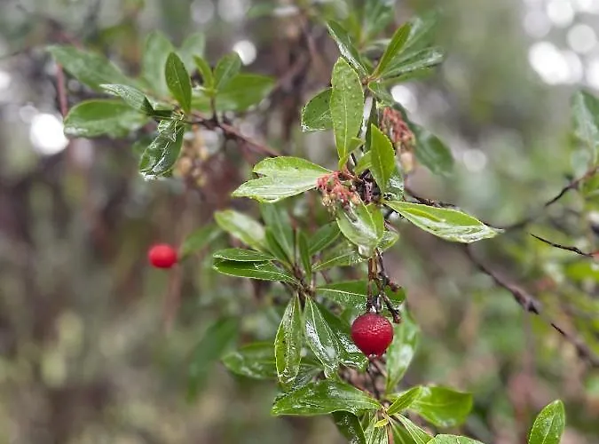Casinha Revira Volta Casa de Férias