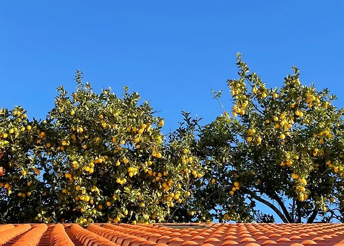 Casinha Revira Volta * Nesperal